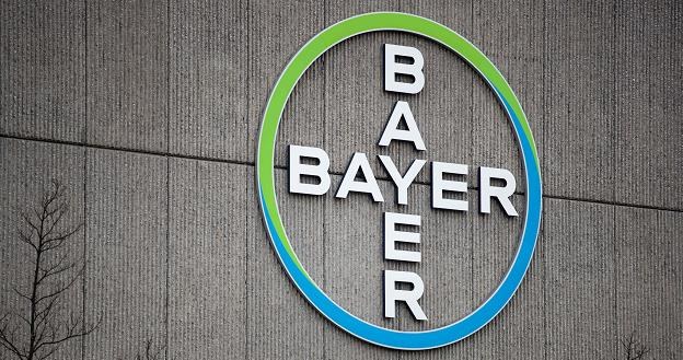 Bayer przegrywa przed sądem w sprawie glifosatu /fot. Odd Andersen /AFP