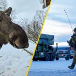 Baza NATO w stanie agonalnym. Biegające łosie, brak wody i toalet