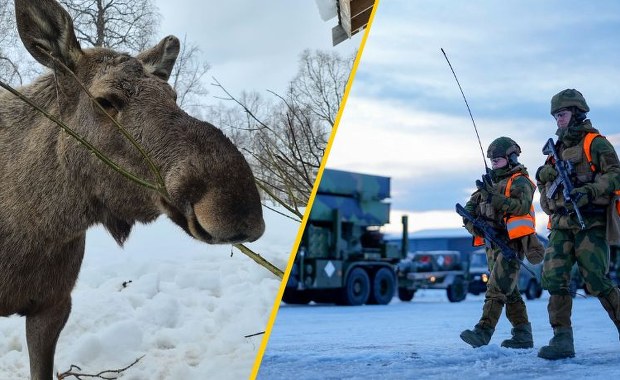 Baza NATO w stanie agonalnym. Biegające łosie, brak wody i toalet