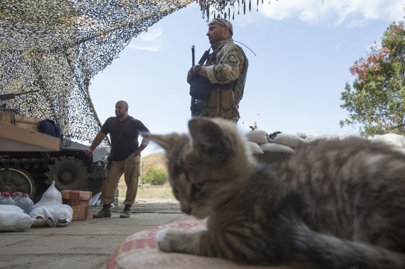 Baza ukraińskiej armii w Szyrokino. Koty są wszędzie mile widziane /Marek M Berezowski/REPORTER /East News