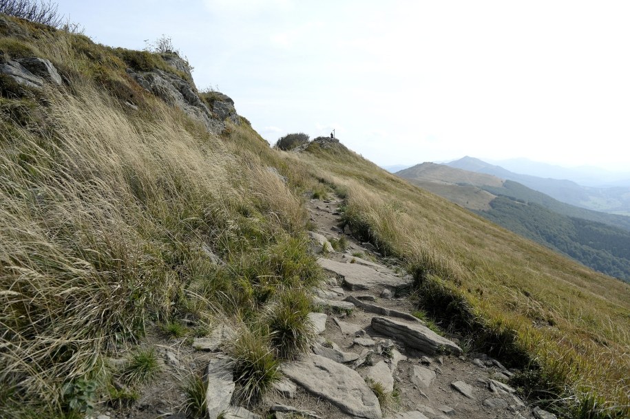 Bieszczady: Nie żyje poszukiwany 61-latek. Zaatakował go niedźwiedź?