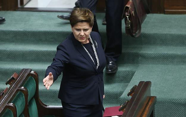 Beata Szydło, premier rządu PiS /PAP