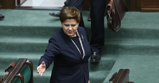 Beata Szydło, premier rządu PiS /PAP