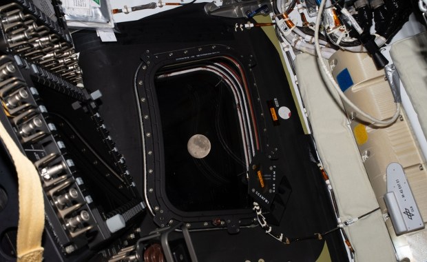 Będą najdalej od Ziemi w historii. Kluczowy dzień misji Artemis II