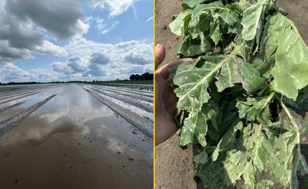 Będą nowe odszkodowania dla rolników z terenów powodziowych. Ustalenia RMF FM 