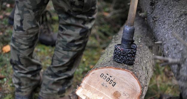 Będą zmiany w wyglądzie mundurów Służby Leśnej  /fot. Adrian Gladecki /Reporter