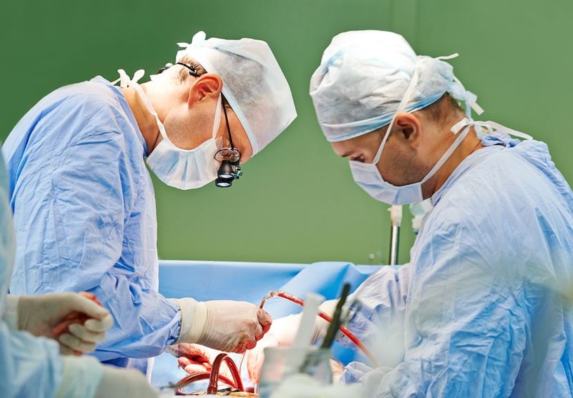 Będzie brakować organów do przeszczepów? /123RF/PICSEL