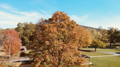 Będzie coraz chłodniej. Szykuje się znaczna zmiana pogody