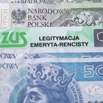 Pracownicze Plany Kapitałowe