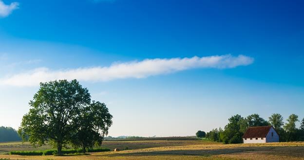 Będzie łatwiej sprzedać działkę /&copy;123RF/PICSEL