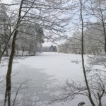 Będzie mniej kleszczy i komarów? Ekspert mówi, jak owady reagują na mróz