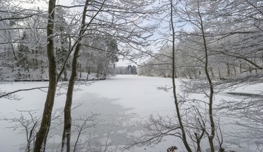 Będzie mniej kleszczy i komarów? Ekspert mówi, jak owady reagują na mróz