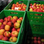 Będzie nowy nabór wniosków na wycofanie owoców z rynku 