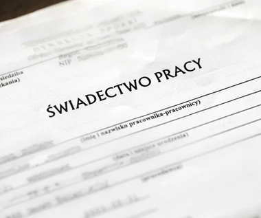 Będzie nowy wzór świadectwa pracy. Sprawdzamy, co się zmieni