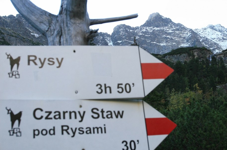 Będzie prościej dostać się na szlak /Grzegorz Momot /PAP