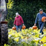 Będzie spotkanie w sprawie nadprodukcji w rolnictwie. 22 postulaty rolników