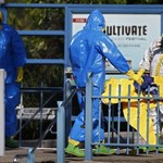 Będzie unijna misja do walki z ebolą?