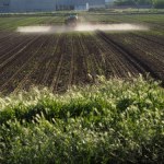 ​Będzie unijna rekompensata dla rolników za drożyznę w związku z nawozami?