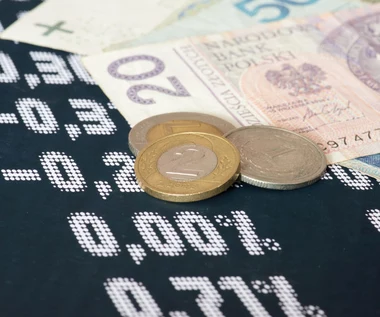 Będziemy z tym żyć. Czas wysokiej inflacji i wielkiego długu