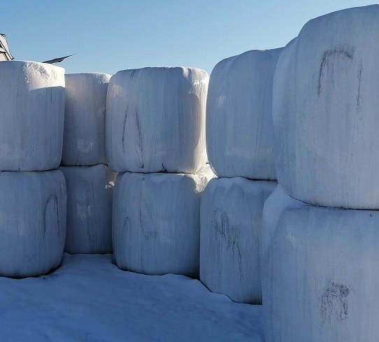 Bele z sianokiszonką /KPP Nowy Targ  /Policja