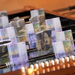 Belka: Wzrost rat we frankach nie jest dramatyczny
