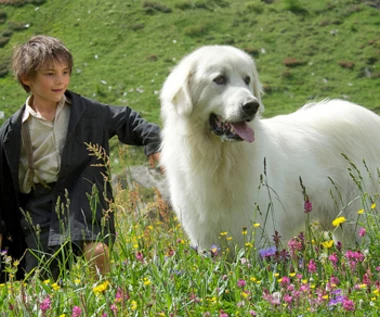 "Bella i Sebastian" [trailer]