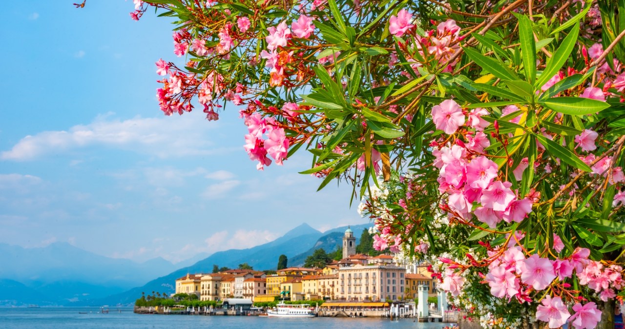 Bellagio to miejscowość we Włoszech, położona nad Lago di Como. /Pixel