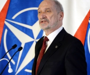 Berczyński: Wykończyłem caracale. PO: Kolejny kamyk do ogrodu skandali Macierewicza