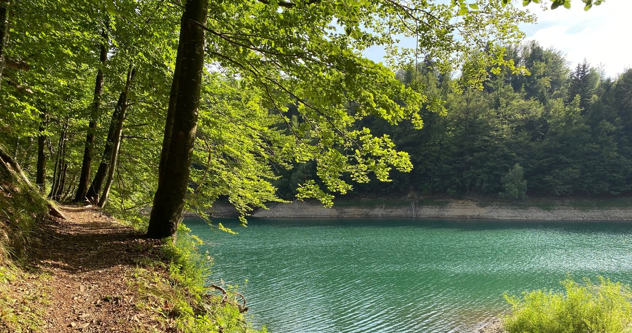 Beskid Śląski obfituje w wiele szlaków turystycznych, jeden z spokojniejszych prowadzi na górę Tuł /Pixel