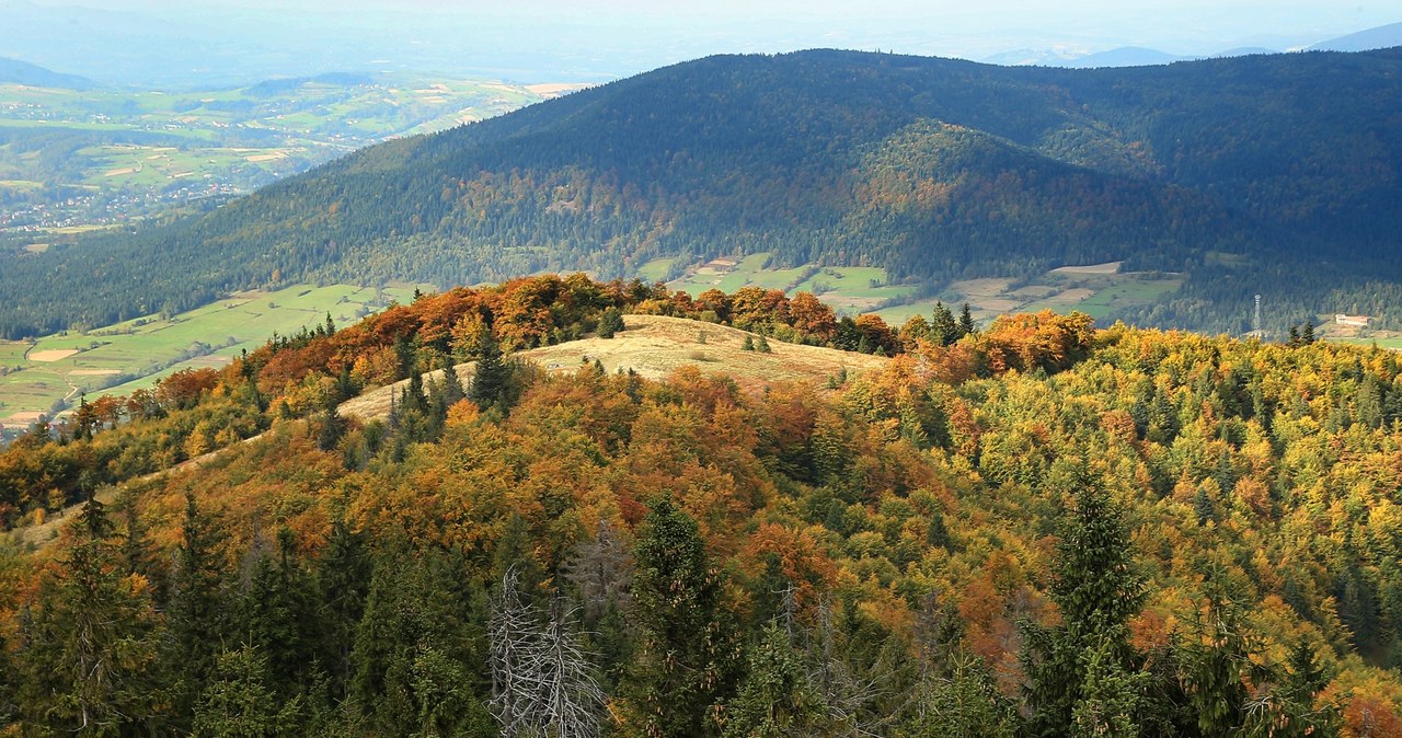 Beskid Wyspowy. Szczyt Mogielica, widok z wieży widokowej /MONKPRESS /East News