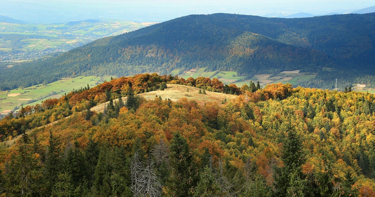 Beskid Wyspowy zachwyca jesienną odsłoną. Wiodący nim szlak na Mogielicę jest doskonałą alternatywą dla zatłoczonych Tatr. /East News