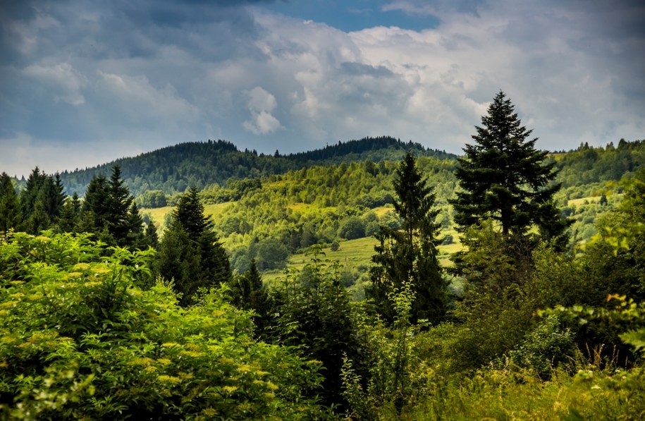 Beskidy Skolskie, pasmo górskie w Karpatach, na zachodzie Ukrainy. /Shutterstock