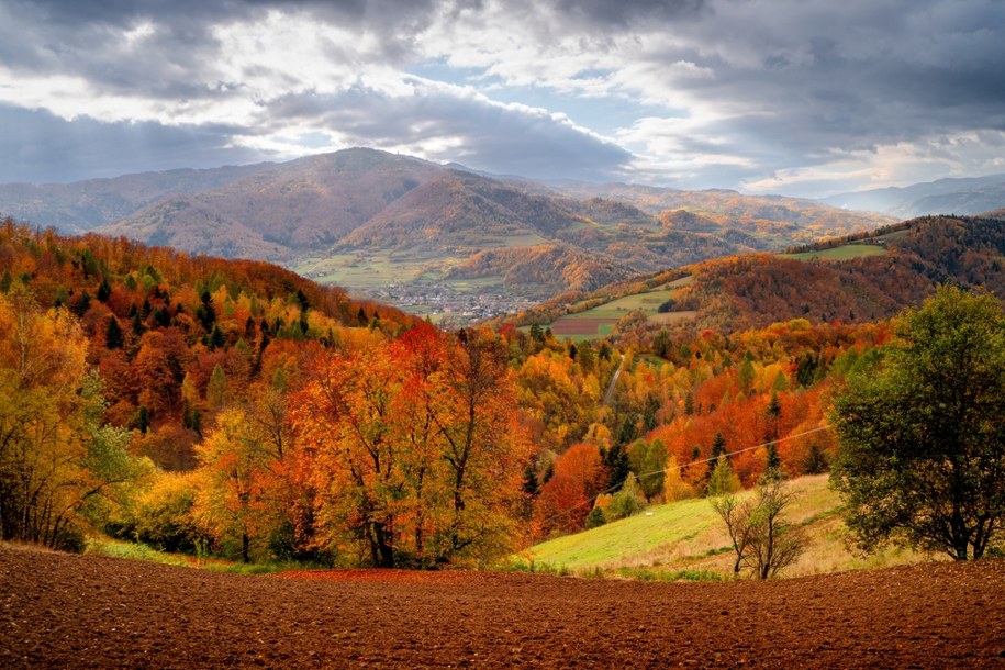 Beskidy /Shutterstock
