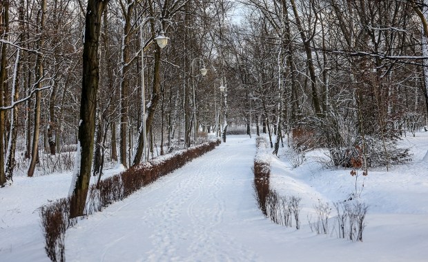 Bestialski gwałt w Łodzi. Sprawca zaatakował kobietę w parku