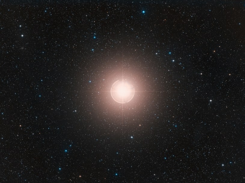 Betelgeza to jedna z najjaśniejszych gwiazd na nocnym niebie. /ESO/Digitized Sky Survey 2/CC BY 4.0 /Wikimedia