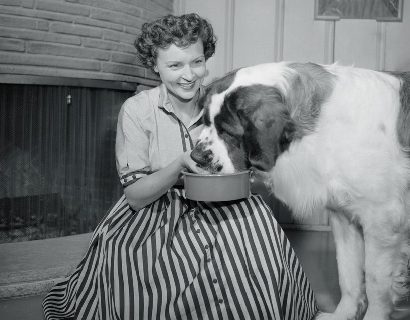 Betty White uwielbiała zwierzęta / Bettmann / Contributor /Getty Images