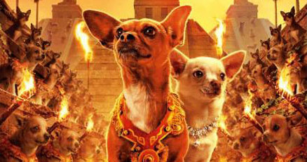 "Beverly Hills Chihuahua" pokonał "Eagle Eye" /materiały dystrybutora