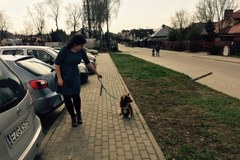 Bez bezpańskich psów. W Łódzkiem rozwiązano problem bezdomnych czworonogów