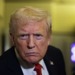 Bez Nobla, ale z honorowym obywatelstwem? Zaskakujący wniosek AfD