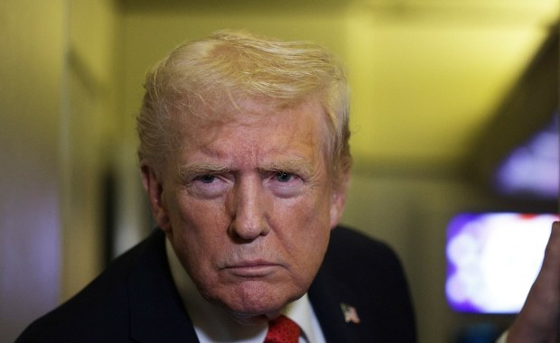 Bez Nobla, ale z honorowym obywatelstwem? Zaskakujący wniosek AfD