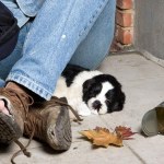 Bezdomni Polacy na obczyźnie: Klawe życie... na bruku