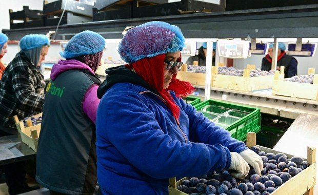 Bezkompromisowa odpowiedź UE na cła nałożone przez USA 