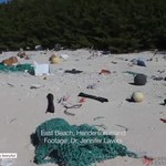 Bezludna wyspa pełna plastikowych śmieci. Niepokojące odkrycie na Pacyfiku