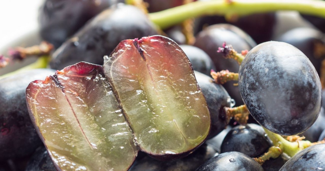 Bezpestkowe ciemne winogrona Venus znajdują wiele zastosowań w kuchni. /Bhubatet /Canva Pro