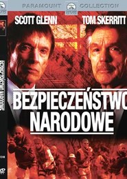 Bezpieczeństwo narodowe