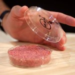 Bezpieczeństwo żywności: Parlament Europejski chce oznaczania mięsa