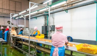 Bezrobocie w Polsce niemal najniższe w UE. Tylko Czesi mieli lepszy wynik