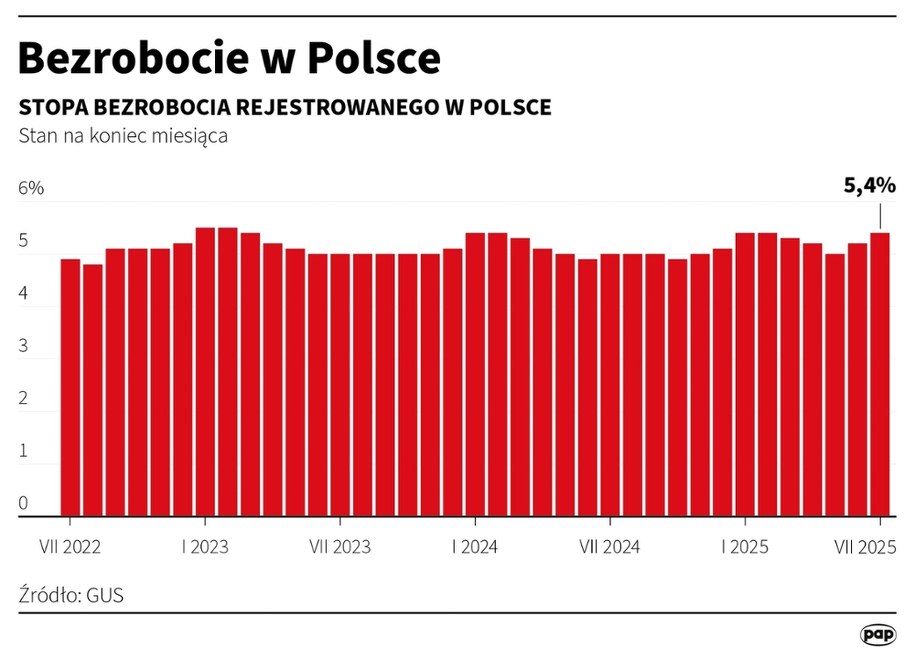 Bezrobocie w Polsce /Michał Czernek /PAP