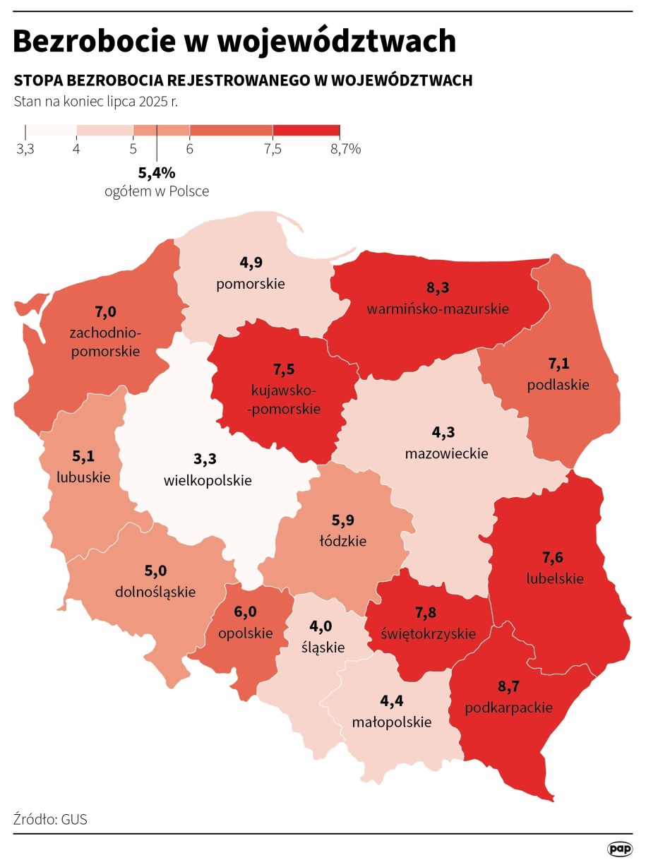 Bezrobocie w województwach /Michał Czernek /PAP
