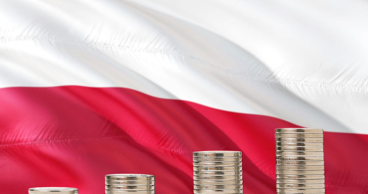 BGK będzie wspierał polską gospodarkę /123RF/PICSEL